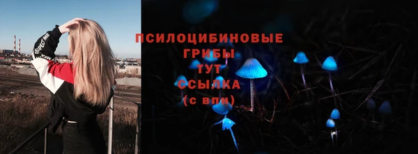 MDMA Алексеевка